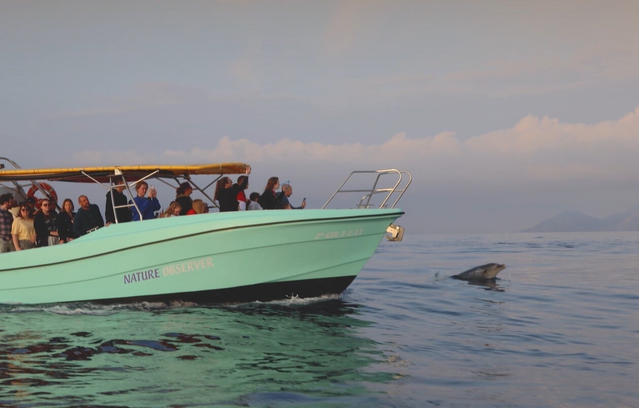 Delfinbeobachtung+Sonnenaufgang