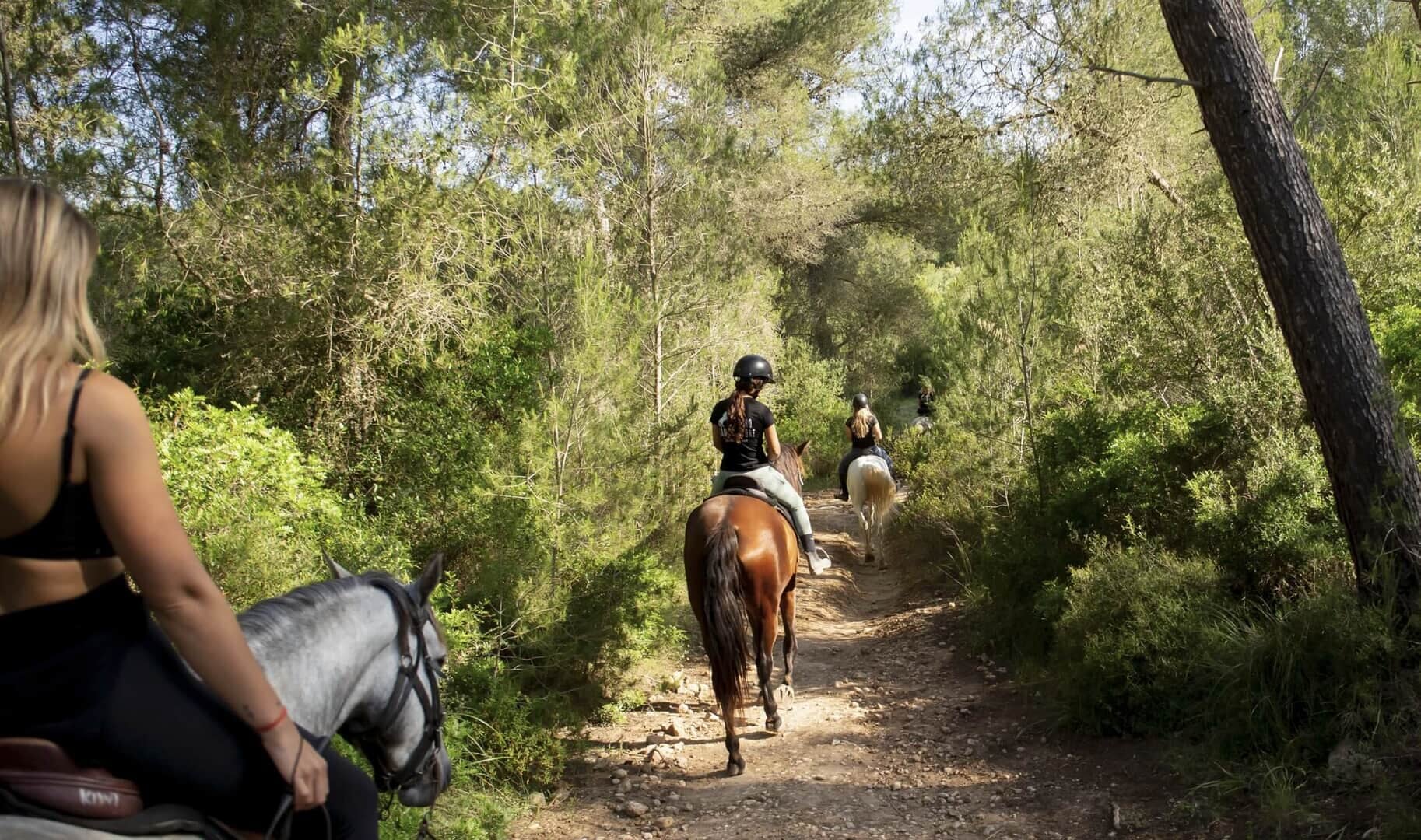 Reiten in der Gruppe in Alcudia