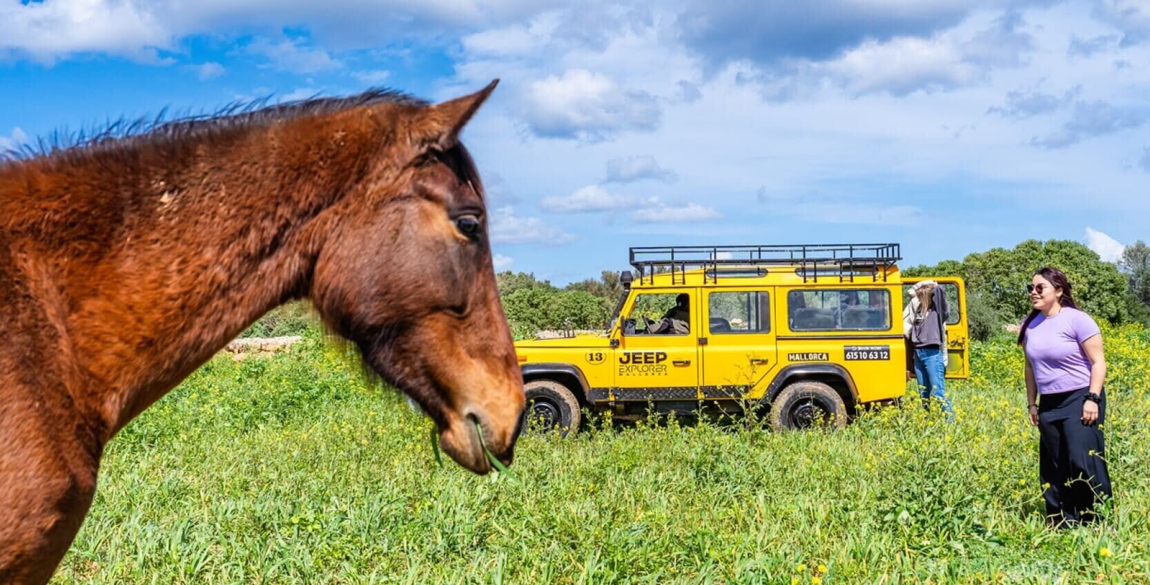 Natur erleben bei der  Jeep Safari