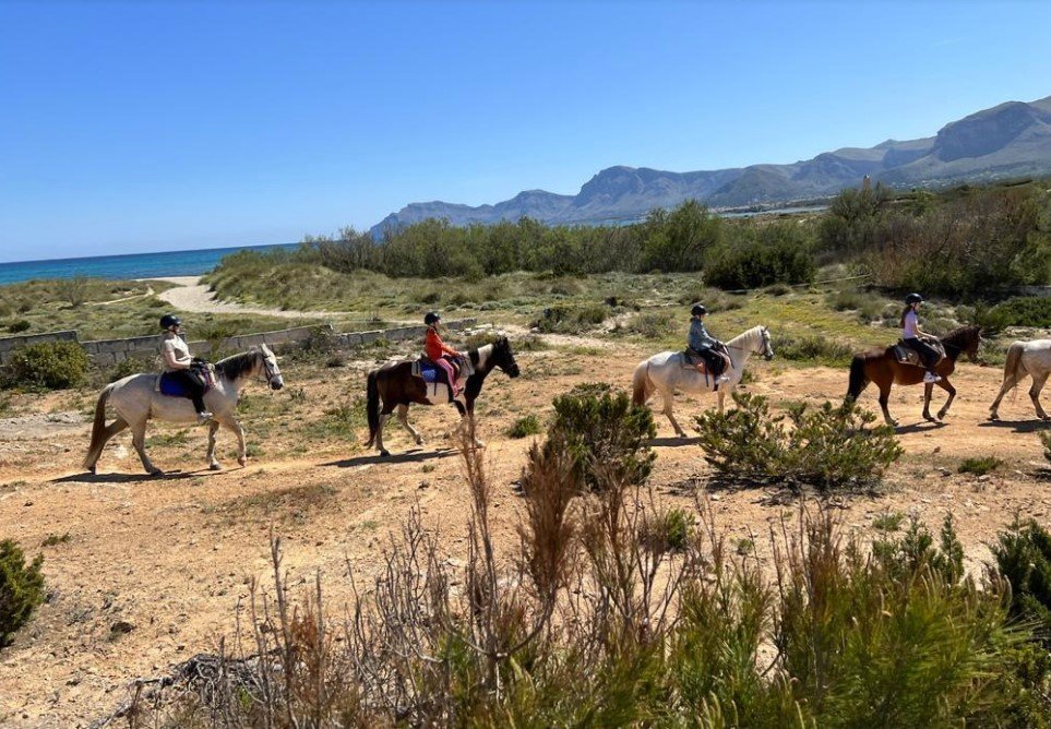 Aussicht auf die Bucht von Alcudia