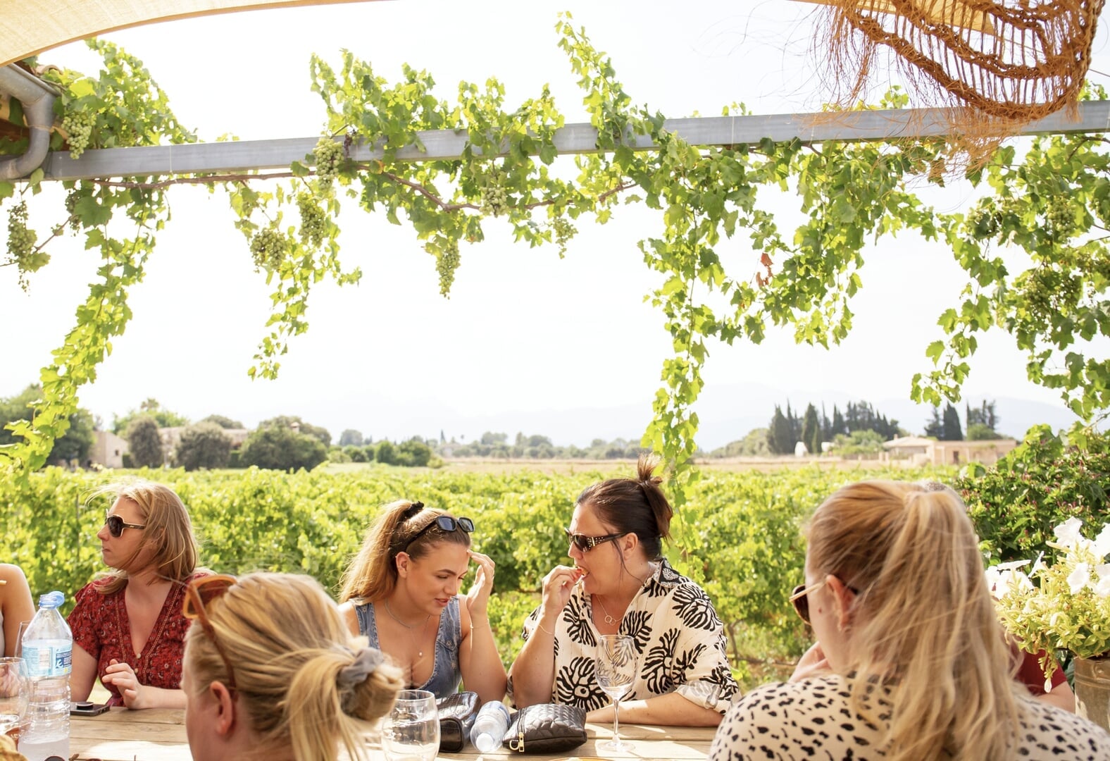 Besuch eines Weinguts auf Mallorca