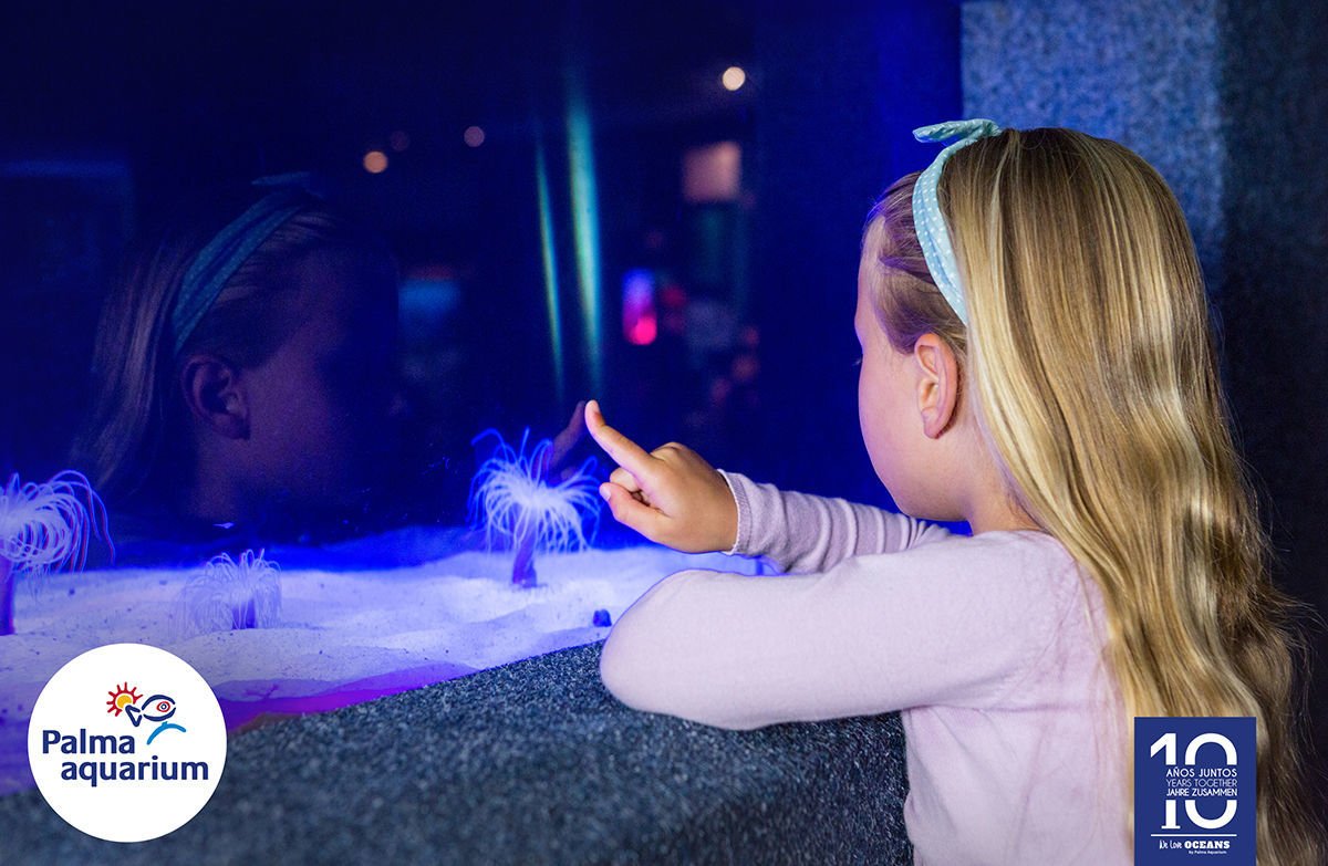 Geniessen Sie die Meeresfauna