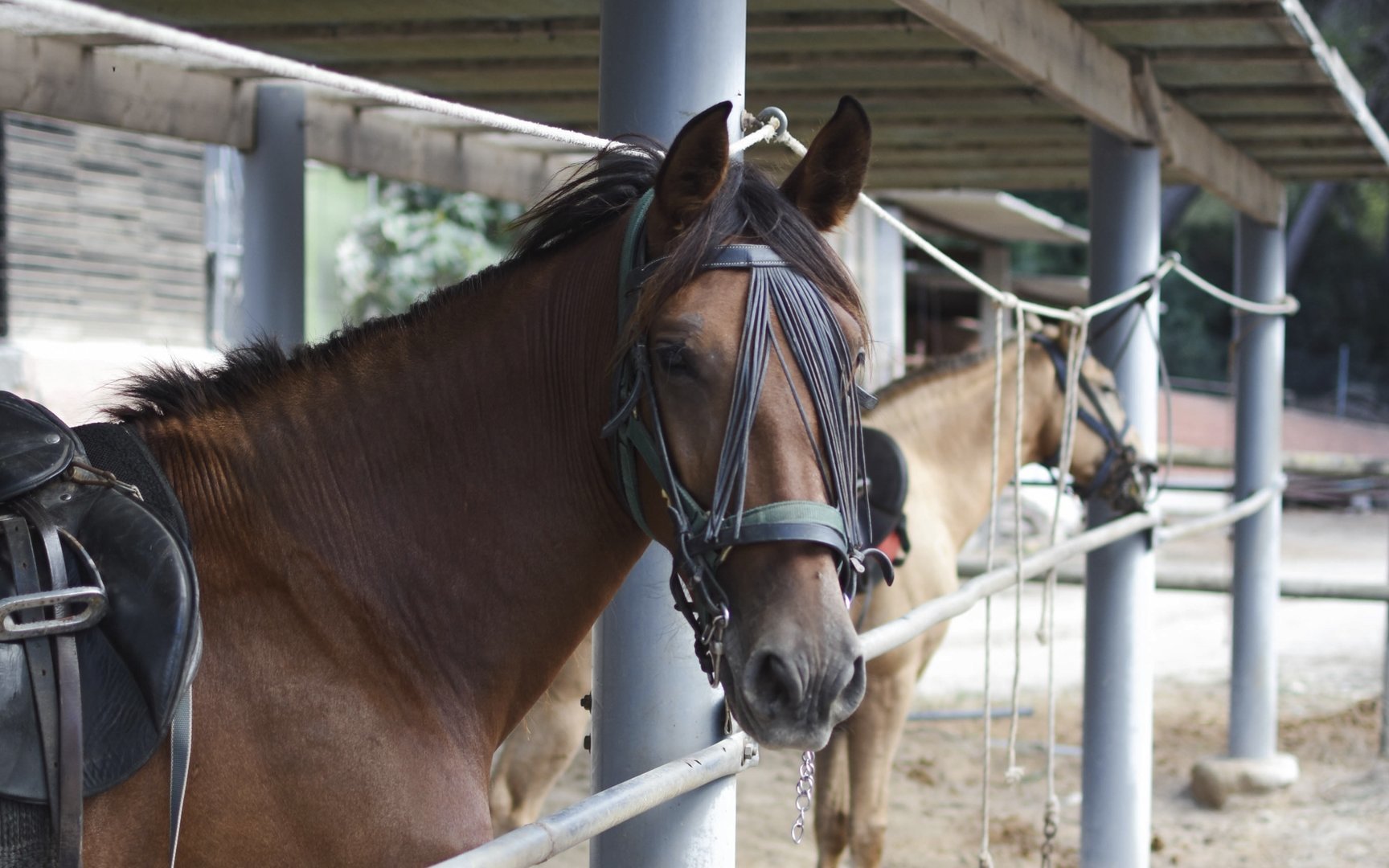 verschiedenen Gruppen