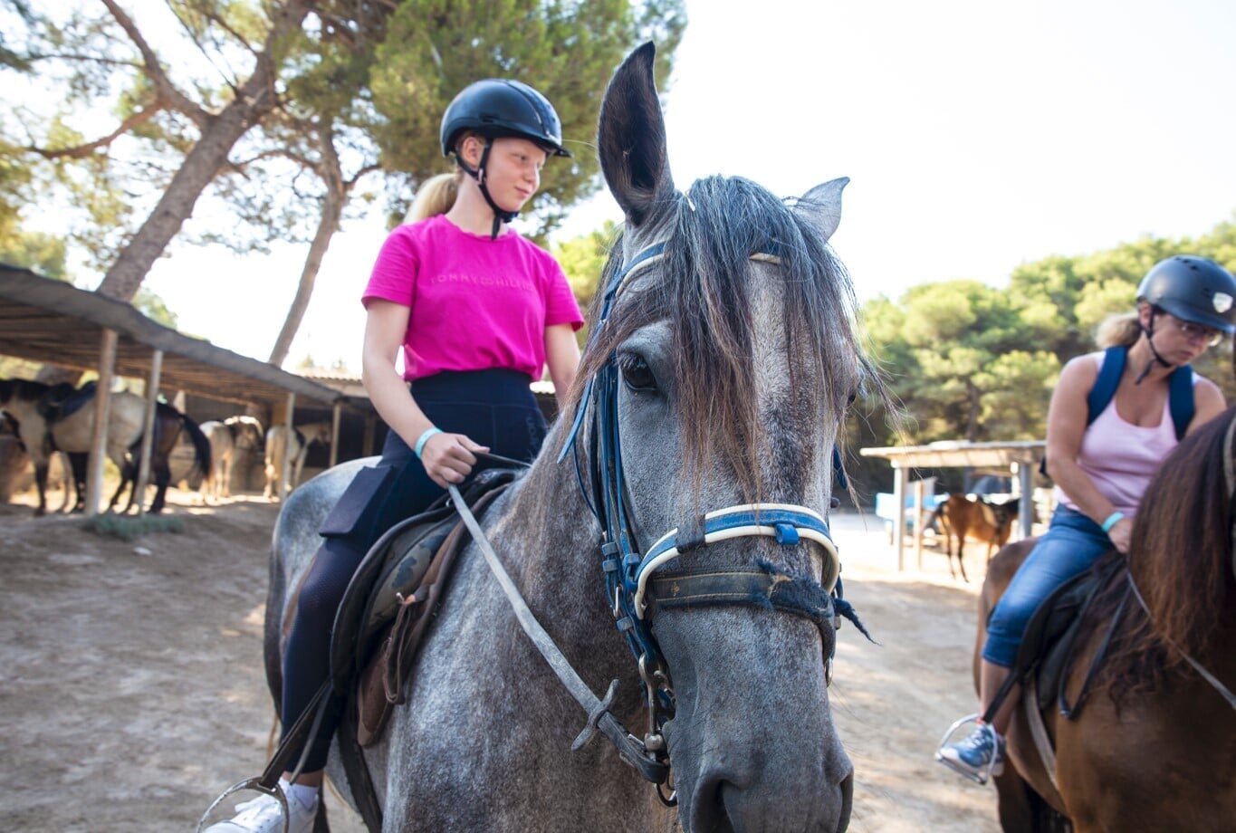 Ausritt durch einen Pinienwald an den wunderschönen Strand von Son Baulo
