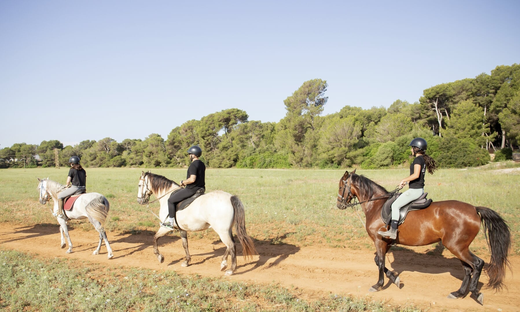 Reiten am Strand in Can Picafort