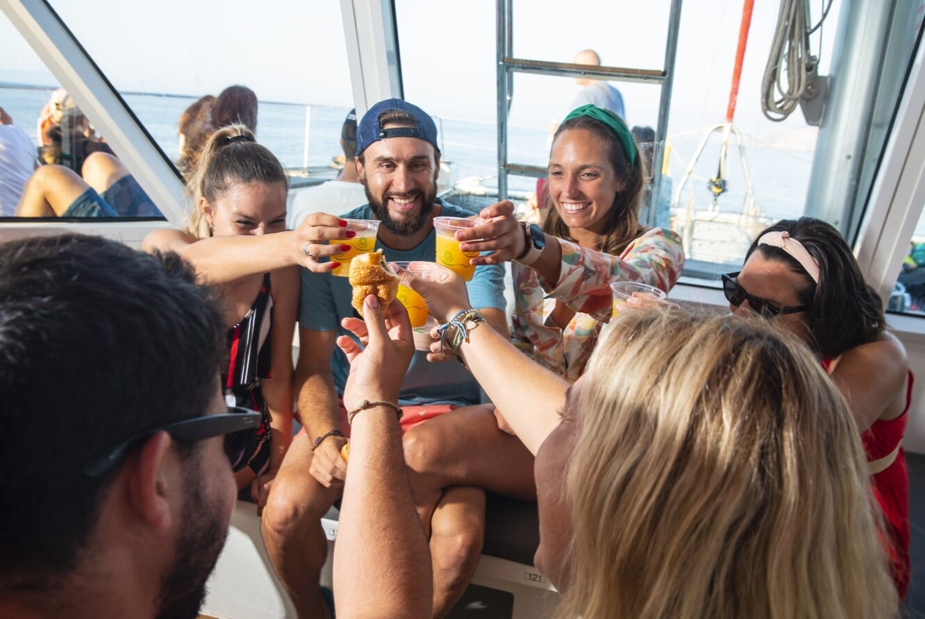 behind watching the dolphins