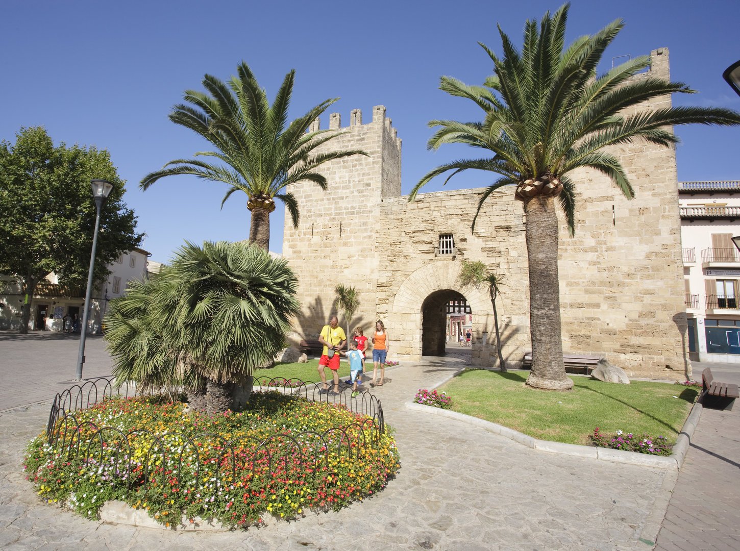 Alcudia tour free