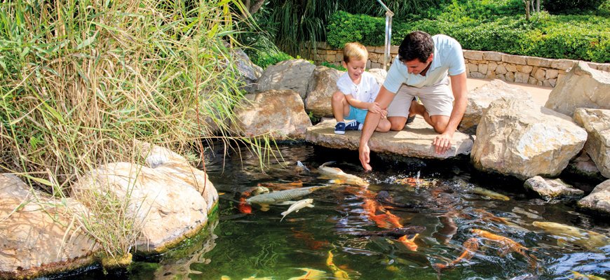 outdoor fish pools at palma aquarium