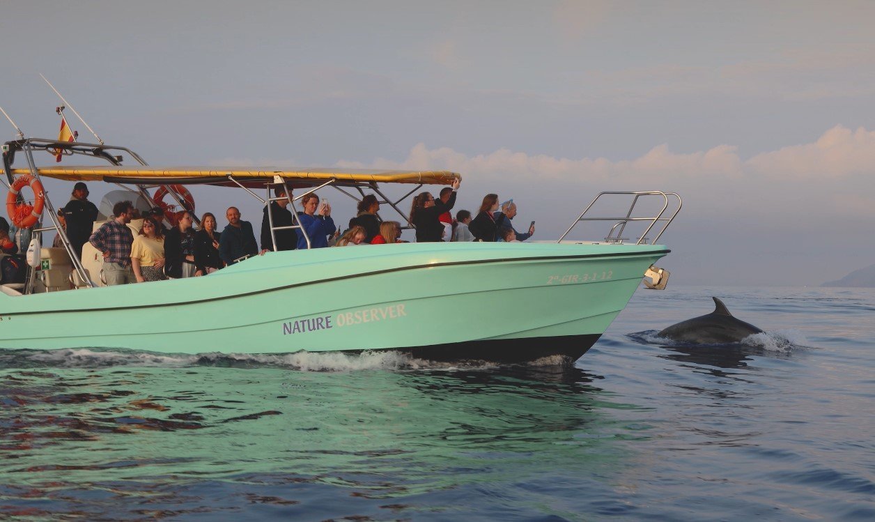 boat with 36 passengers