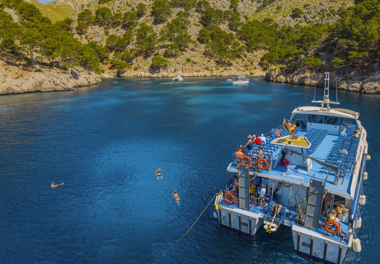 swim stop