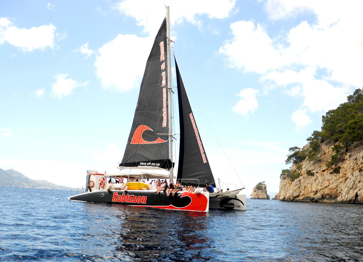 robinson cat in a bay