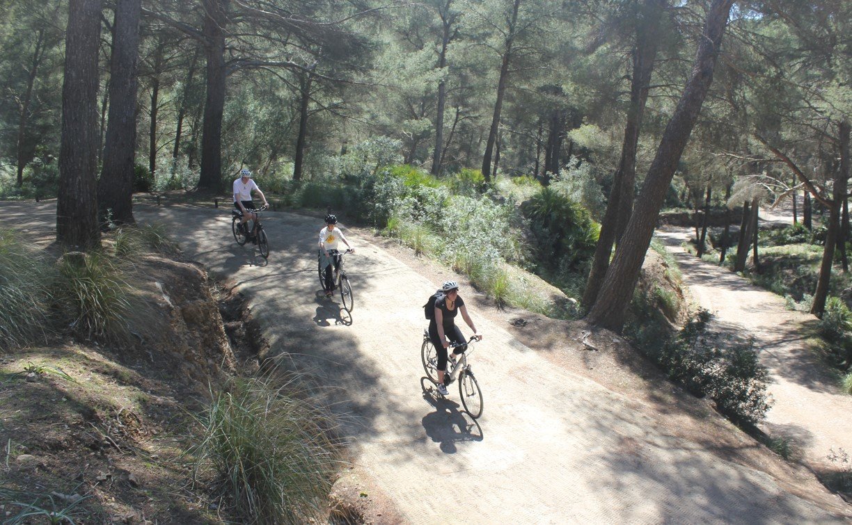 bike tour alcudia