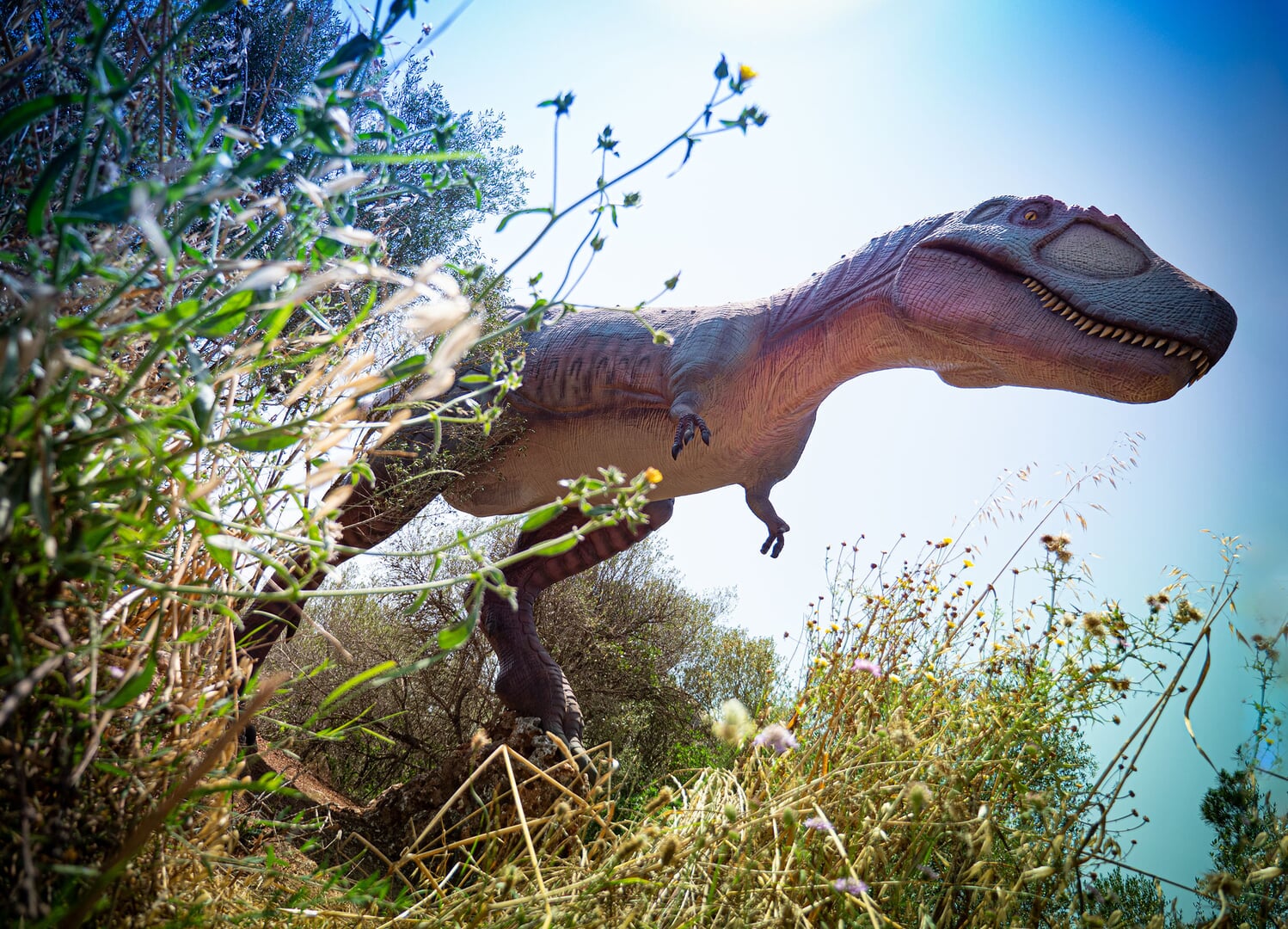 illustration of a t-rex