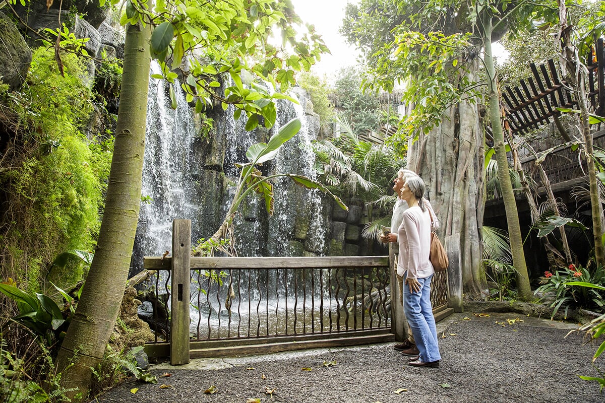 jungle area at palma aquarium