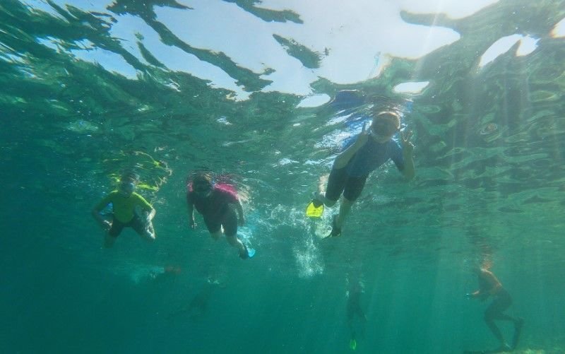 Snorkeling in Alcudia waters
