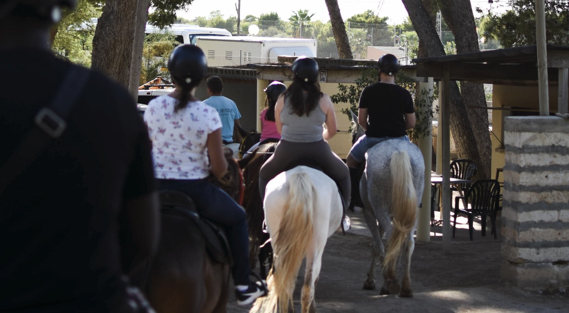 horse riding ranch alcudia