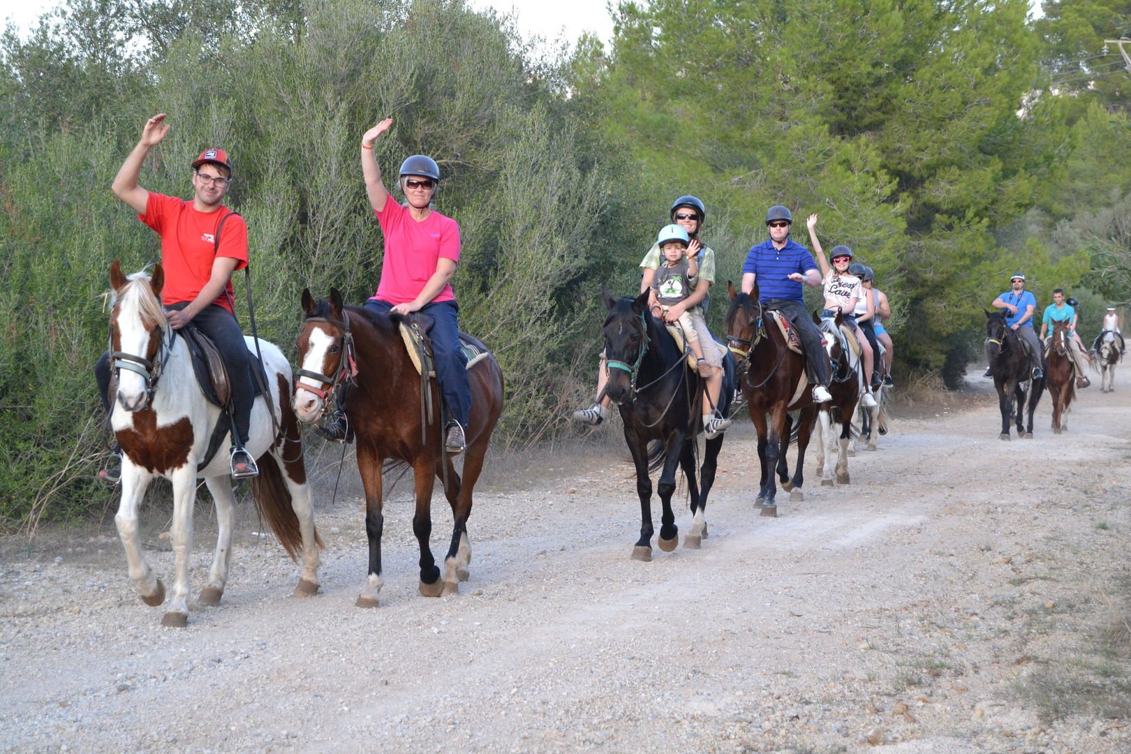 horse group in alcudia mountains
