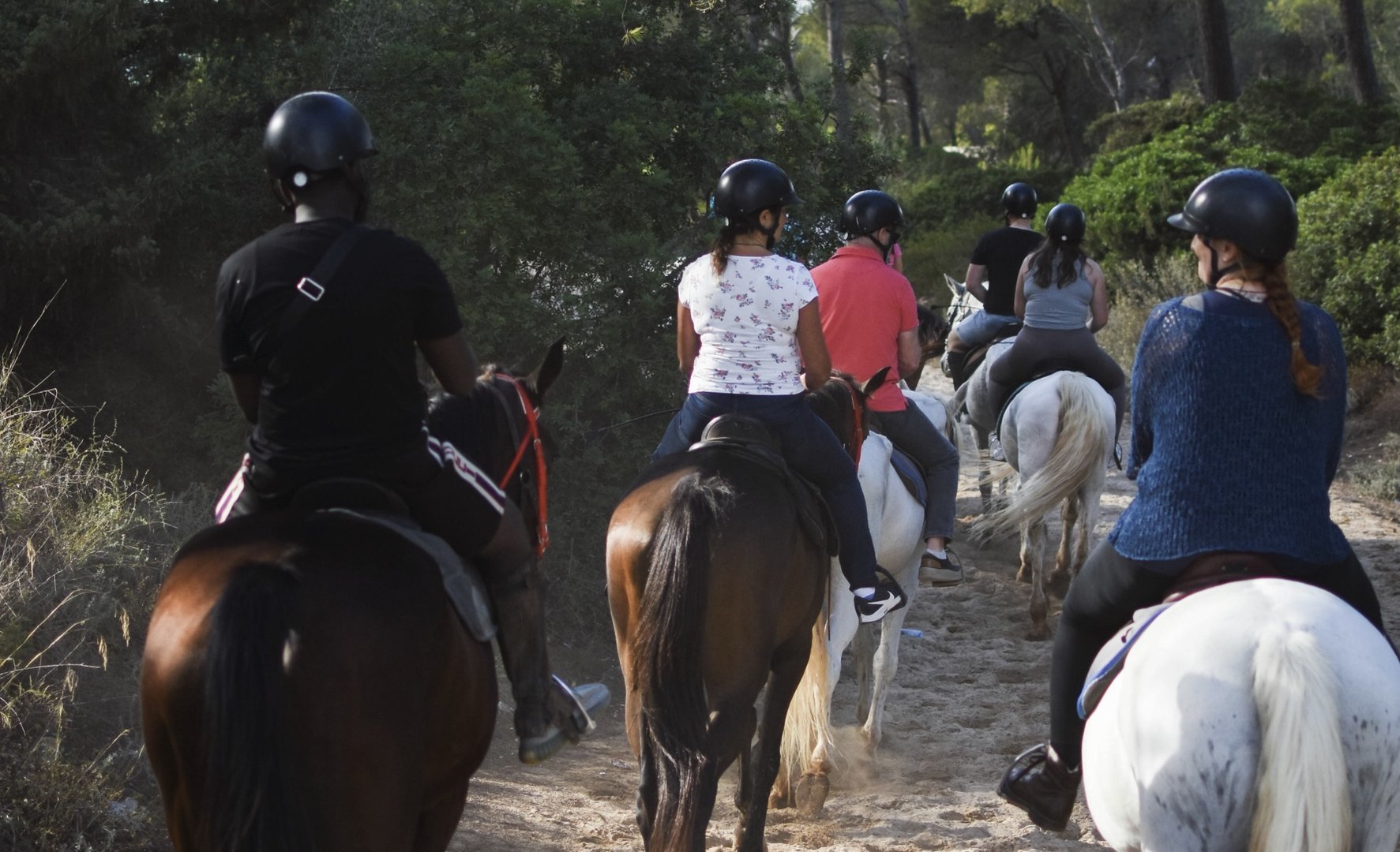 horse rider on there horses