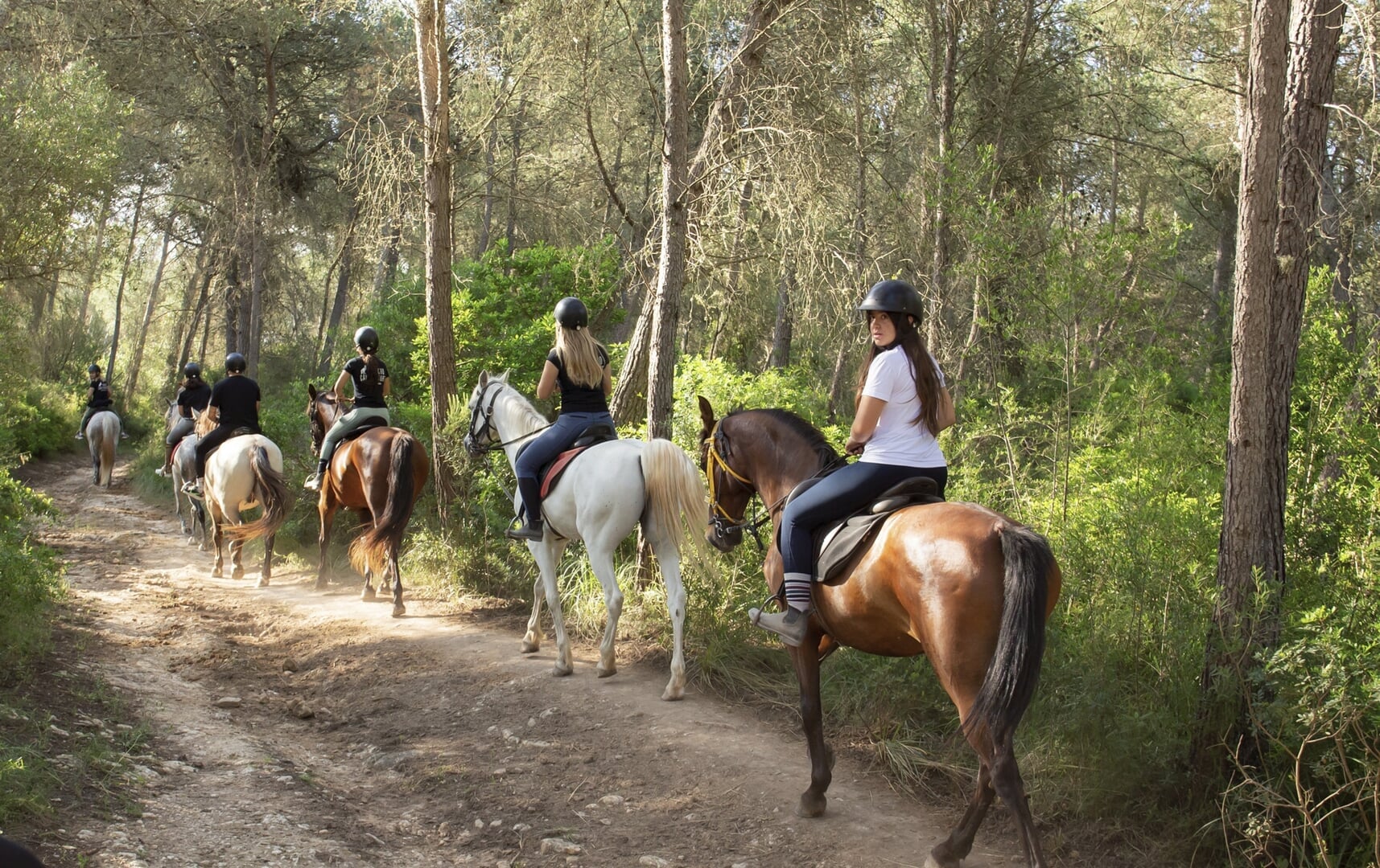 Ranch in the north of Mallorca