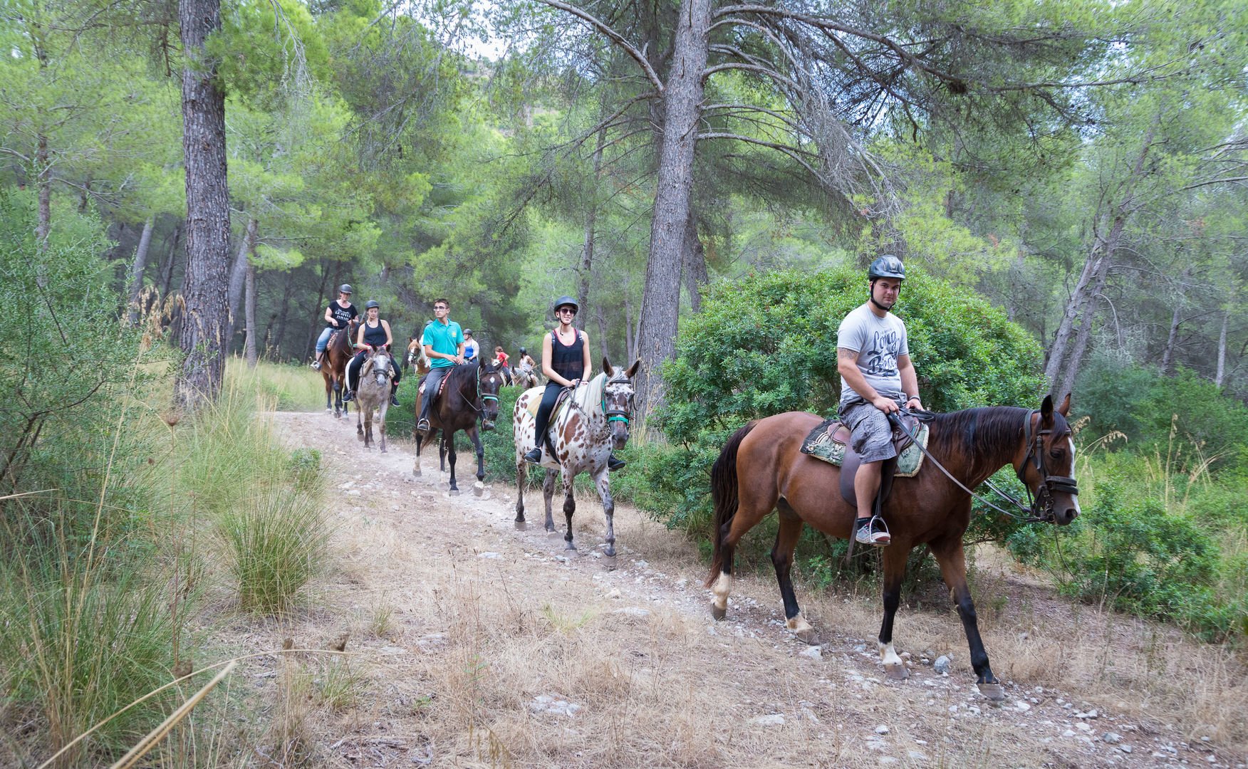 horse riding in mallorca near Alcudia