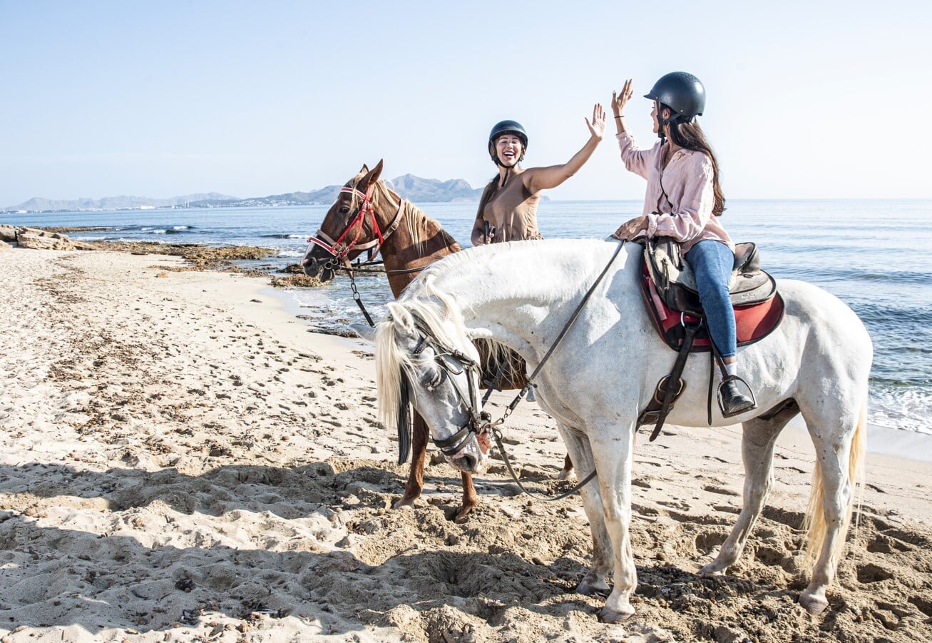 Clients on the beach with the horses