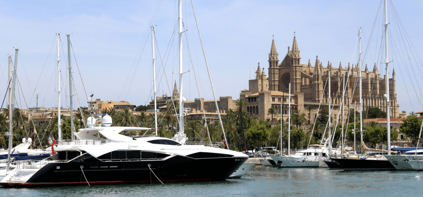 Best way to visit Palma Harbour 