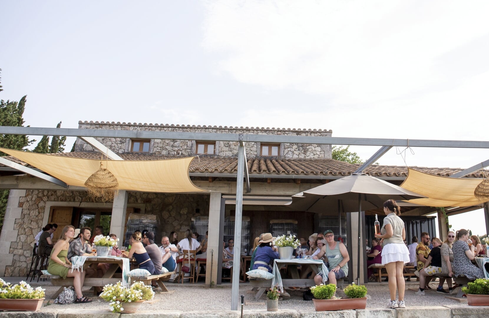 guided tour in the vineyard