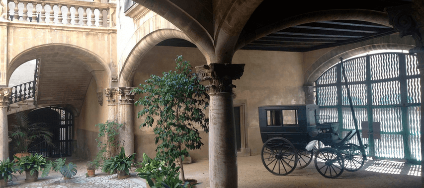 Short guided walk in Palma with shopping time