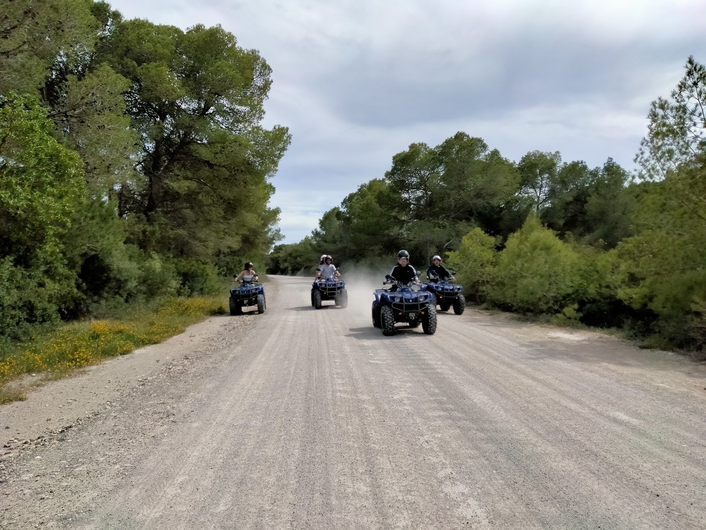 quad ride in the nature