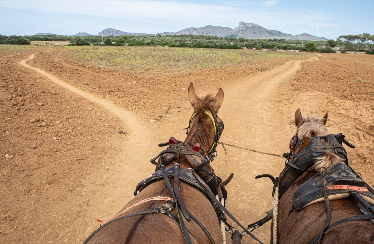 rancho grande excursion non riders