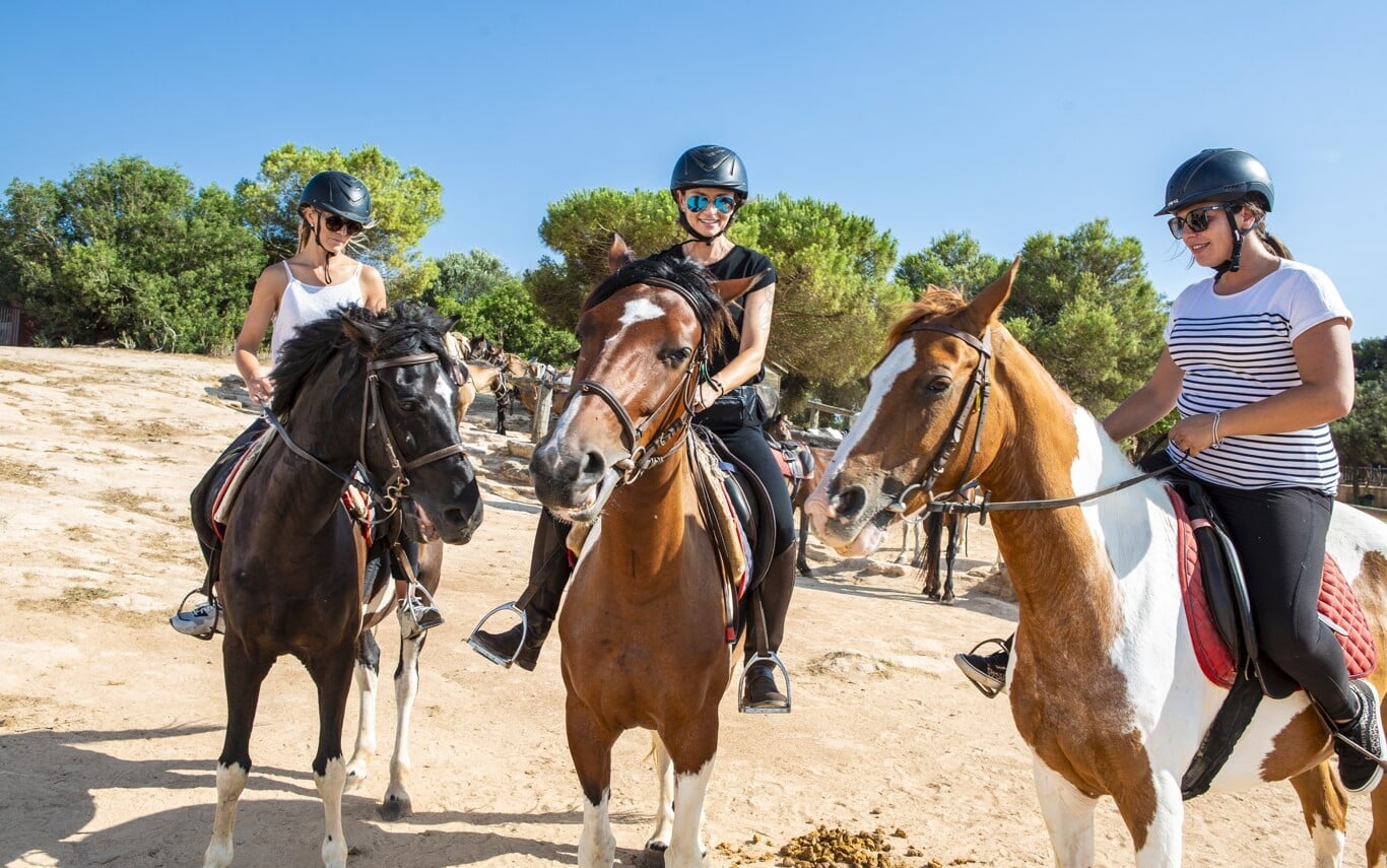 excursion with horses