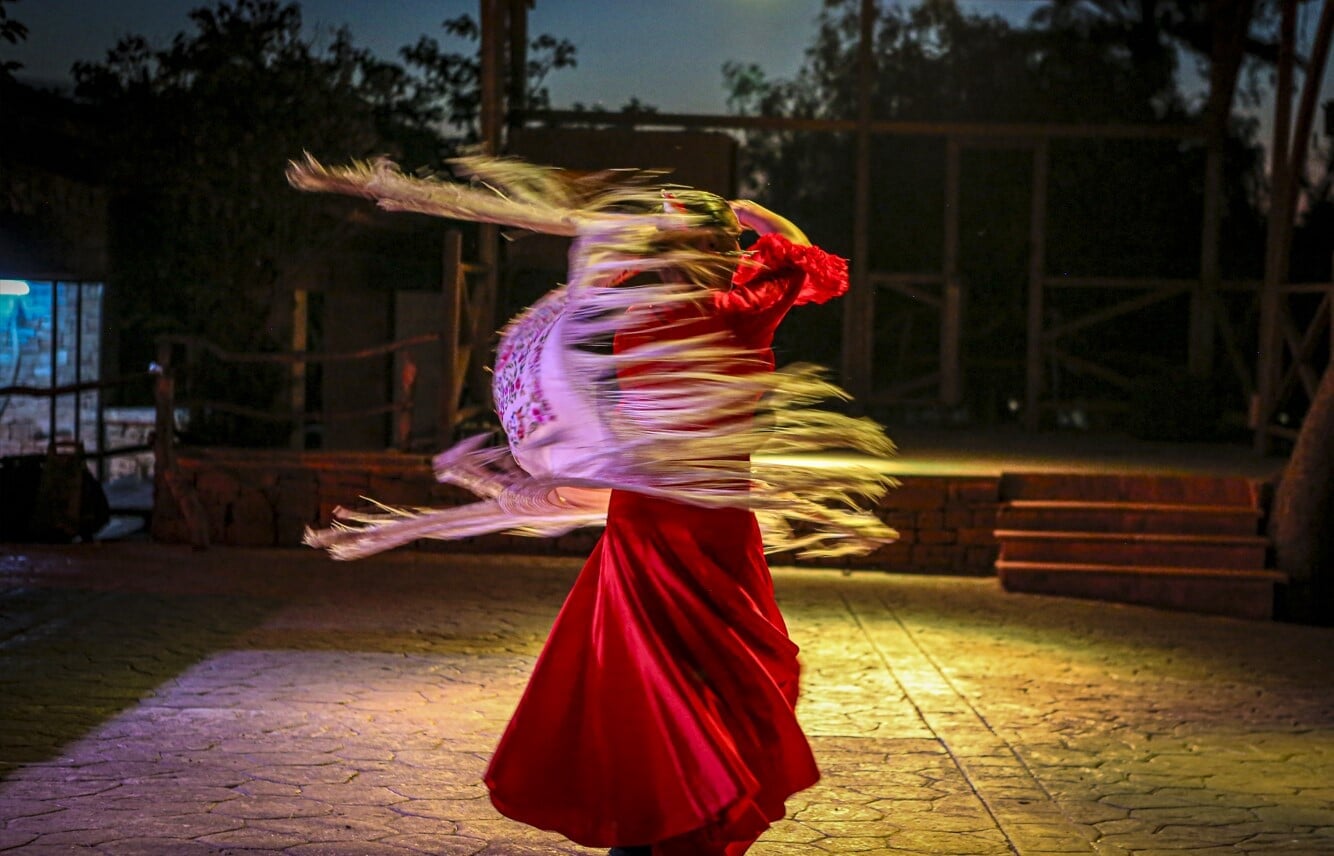 horse riding for beginners