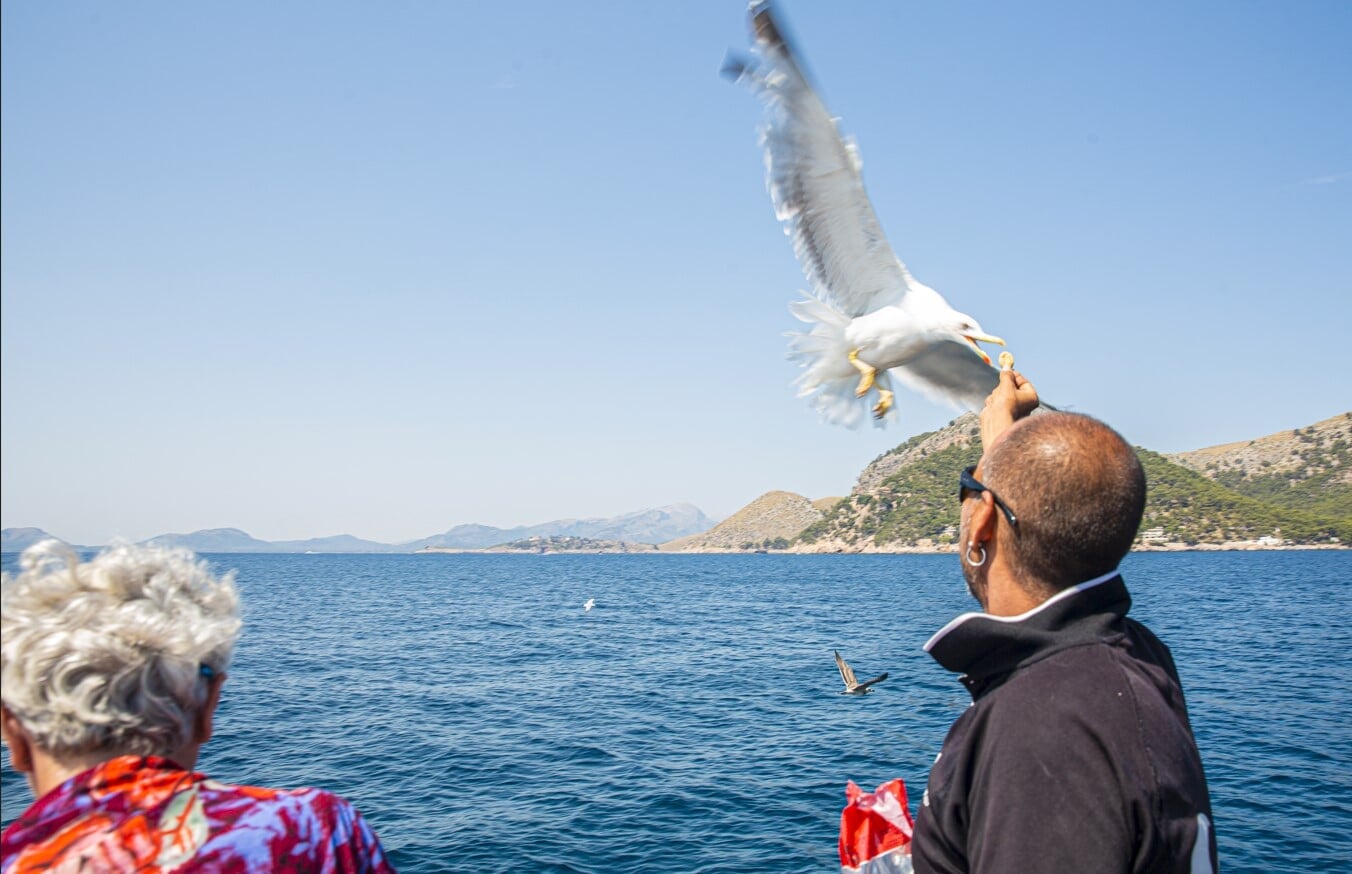 boat excursion with lunch