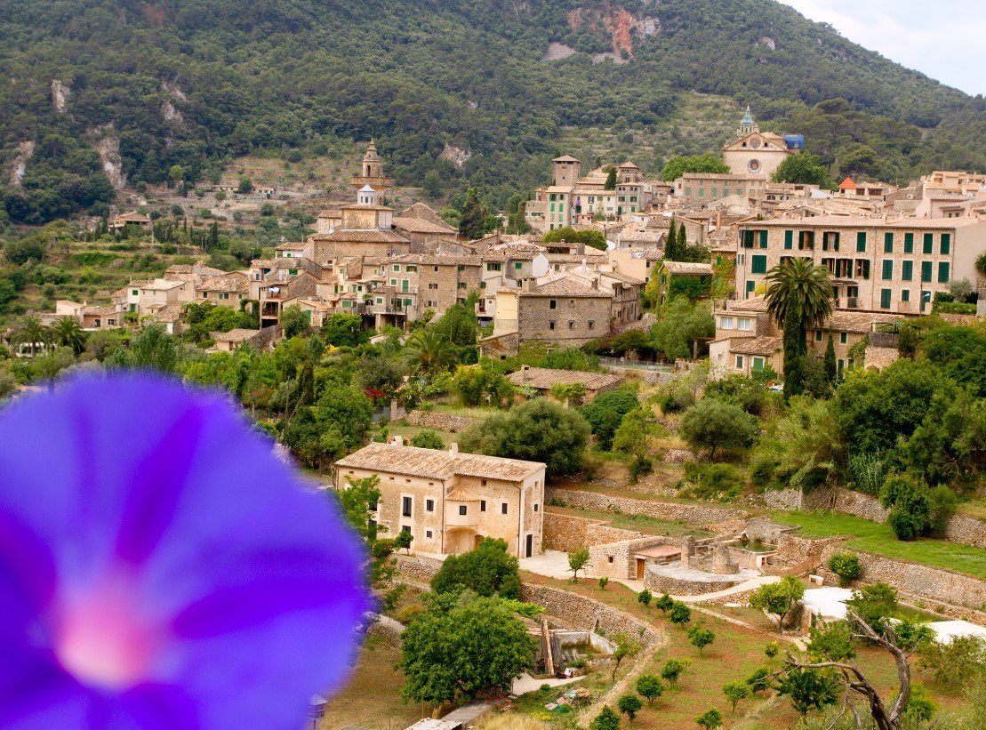 half day excursion mallorca