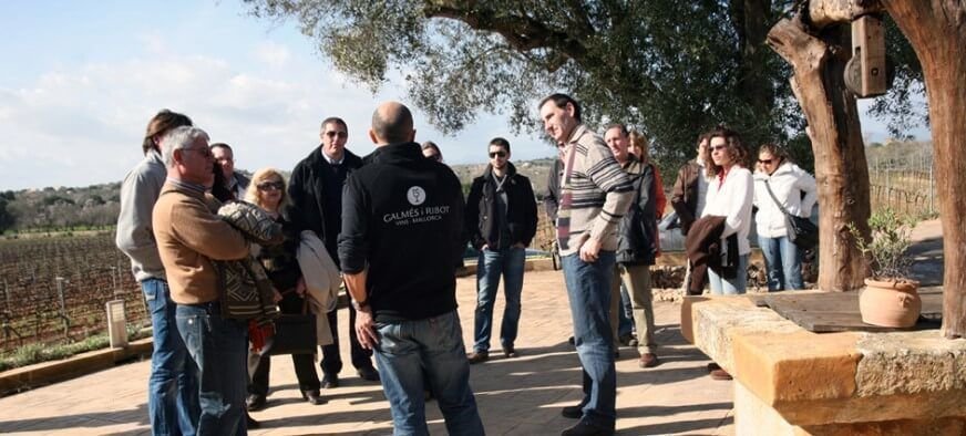 wine tour group