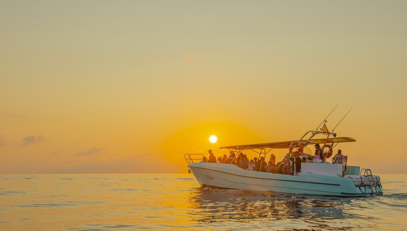 Katamaran na Majorce z widokiem na wybrzeże