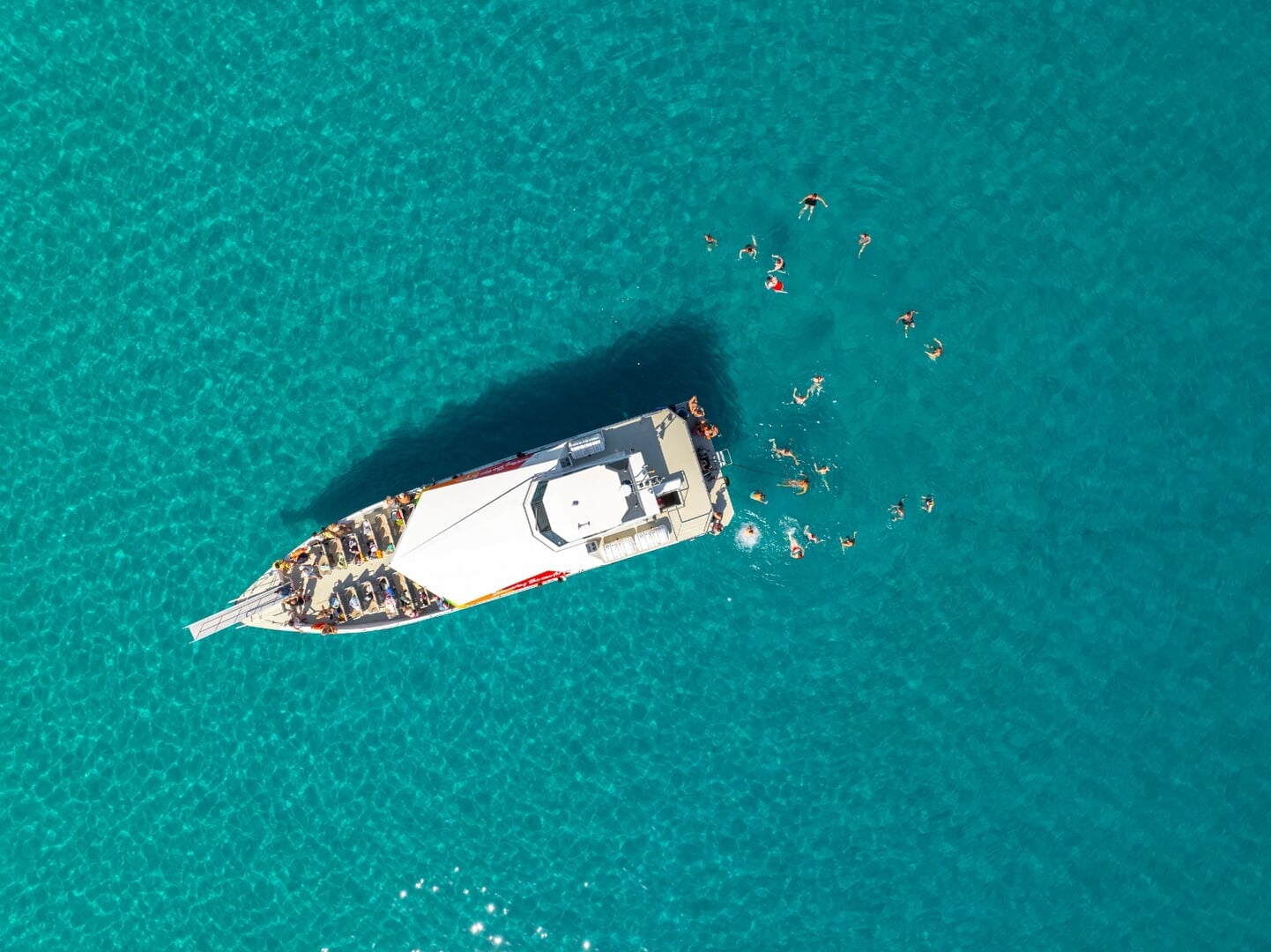 Obserwowanie delfinów z łodzi