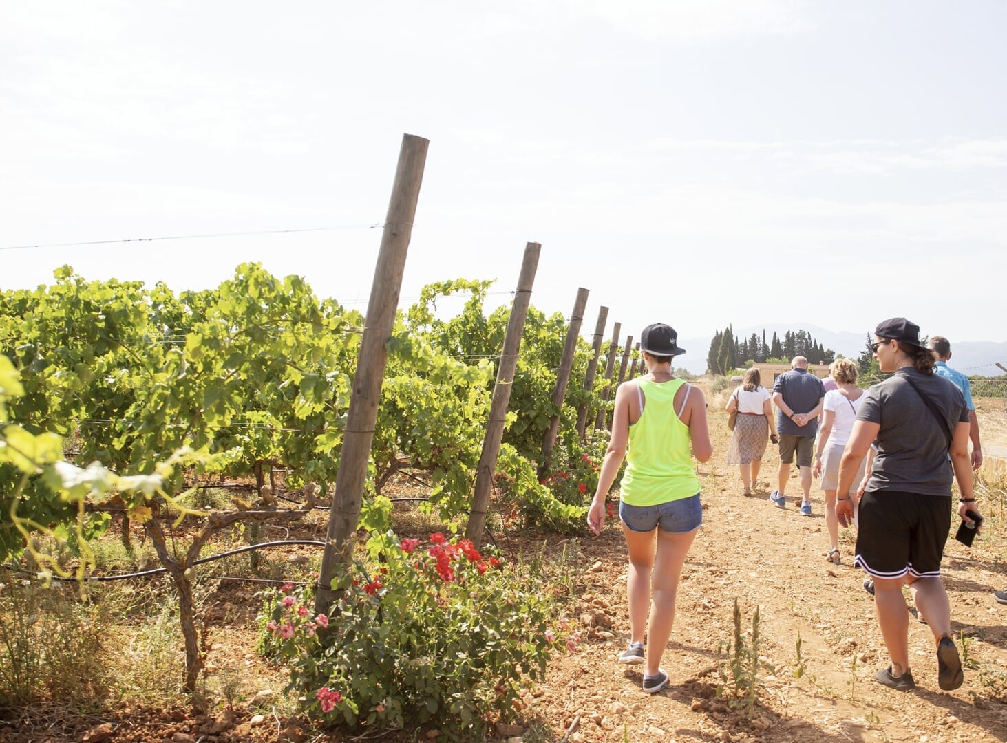 Zwiedzanie piwnicy z winami